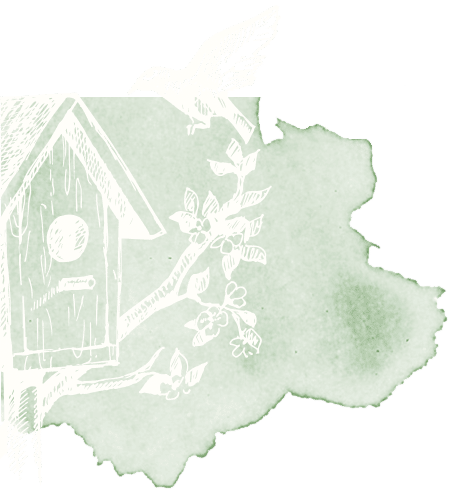 Bird box watercolour